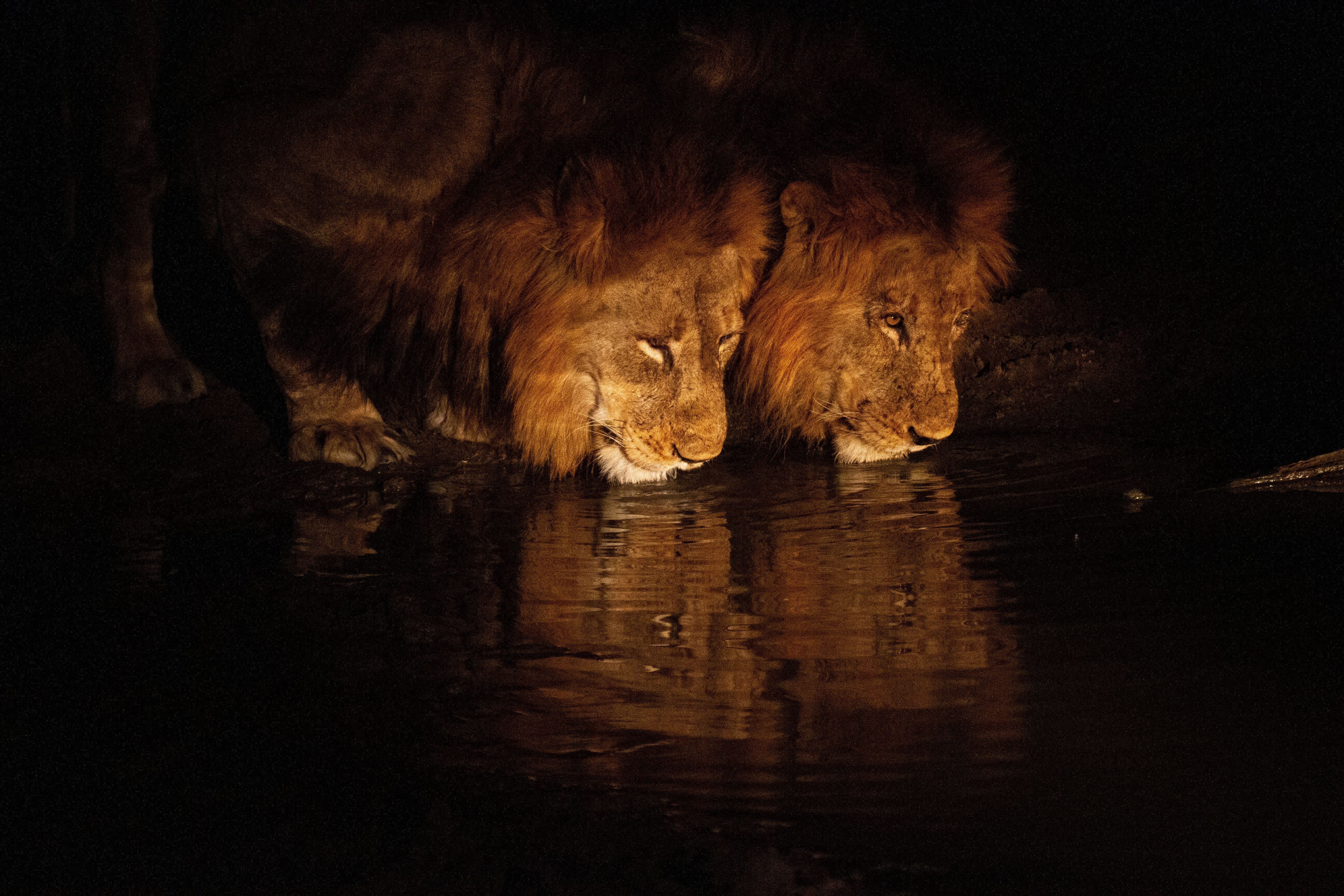 Bateleur Safari Camp thumbnail 9